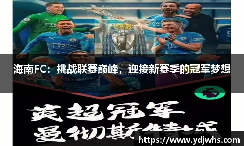 海南FC：挑战联赛巅峰，迎接新赛季的冠军梦想